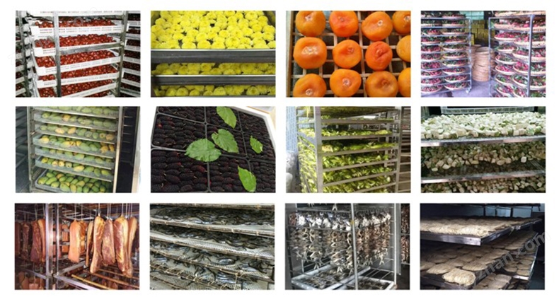 六大初创企业的成功出海案例